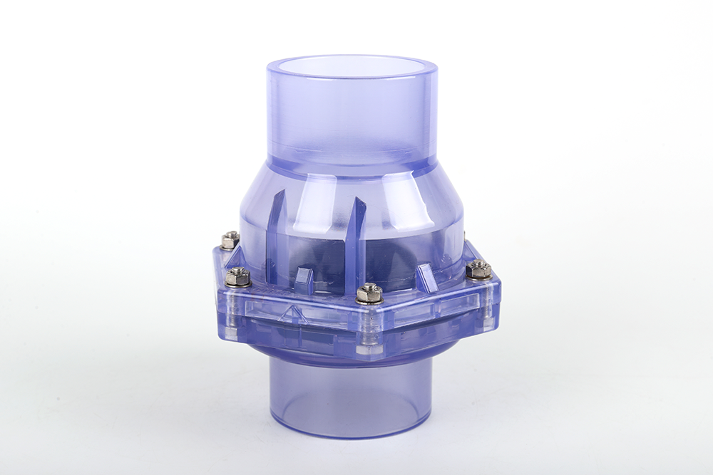 肇州透明翻板式止回阀